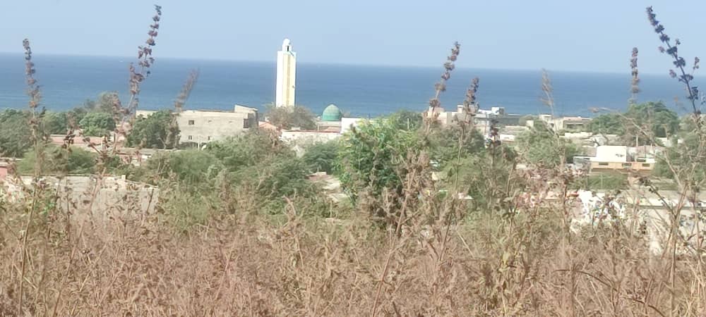 Quel titre d’occupation choisir au Sénégal ?